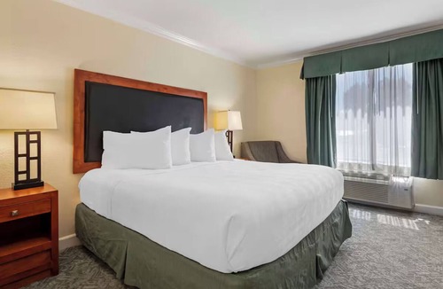 Eagle Hotel | Pet-Friendly Standard King Room +Free Breakfast, Parking, & Shuttle| Pool Access