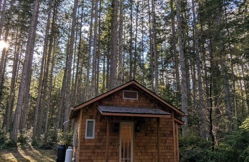 Langley Cabin | Pinewood Cabin - Forest Retreat Near Langley