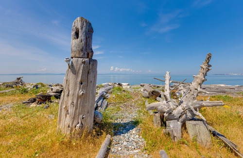 Point Roberts Cottage | Point Roberts Cottage w/Ocean Views + Hot Tub!