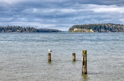 Poulsbo House | Poulsbo Beach Hideaway