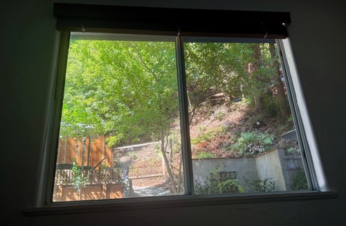 Scotts Valley House | Private Redwood View Suite Near Santa Cruz Beaches