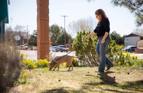 Kanab Apartment | Quail Park Lodge | King and Queen Suite