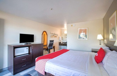 Woodland Hotel | Queen Bed Accessible