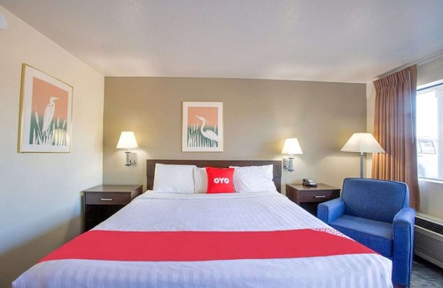 Woodland Hotel | Queen Bed Accessible