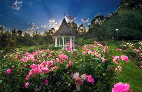 Central Area Hotel | Relax and Enjoy a Memorable Getaway in your Perfect Home Away from Home Setting