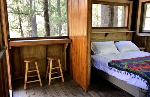 Cobb RV Rental | Romantic Tree House in a Towering Forest Trees near Pine Grove, California