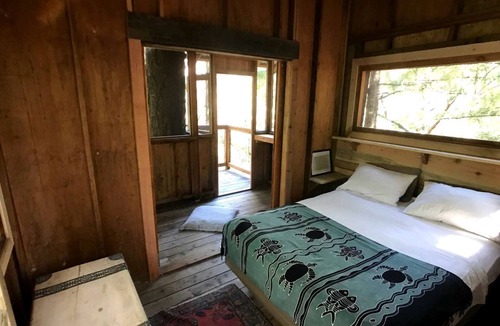 Cobb RV Rental | Romantic Tree House in a Towering Forest Trees near Pine Grove, California