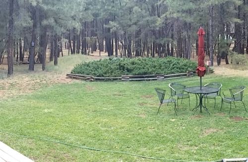 Fort Valley House | Roundtree Retreat - Close to SnowBowl. 4 Bdrm, 3 Bth Private Secluded Retreat