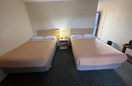 Concord Hotel | Royal plams
