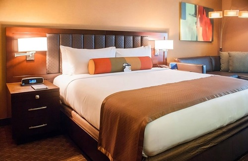 Sunrise Manor Hotel | Rush Tower Premier California King at Golden Nugget Las Vegas, Dogs Allowed!