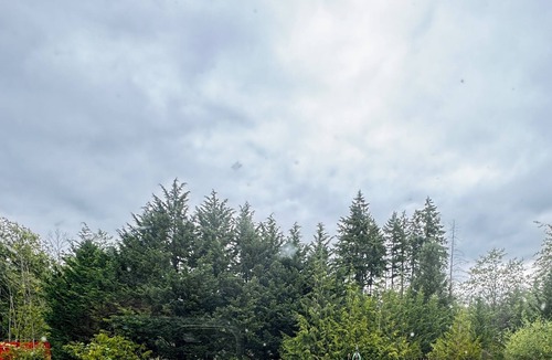 Seabeck RV Rental | RV SPACE:Tired of crowded, noisy RV parks? 5 private country acres with hookups.