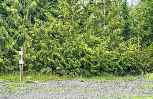 Seabeck RV Rental | RV SPACE:Tired of crowded, noisy RV parks? 5 private country acres with hookups.