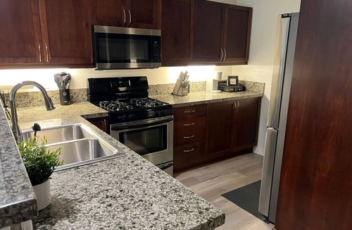 Marina District Condo | San Diego Skyline