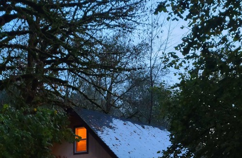 Alsea Cabin | Scenic cabin with a creek view