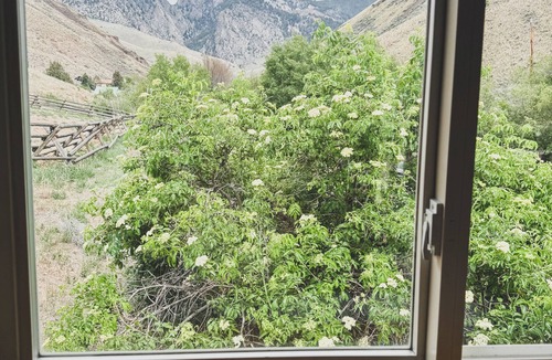 Salmon Apartment | Scenic Studio Retreat- Steps to Goldbug Hot Springs