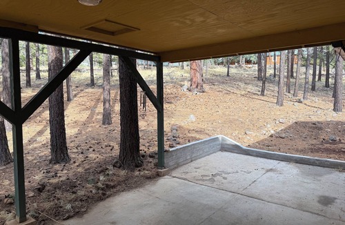 Greer Cabin | “Scout’s House” cabin on 2 acres Dog Friendly!