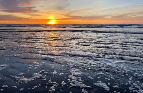 Ocean Shores House | Sip & Sea Beach Cottage