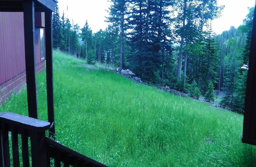 Beaver Condo | Ski in - Ski Out Condo right next to the Main Lodge !