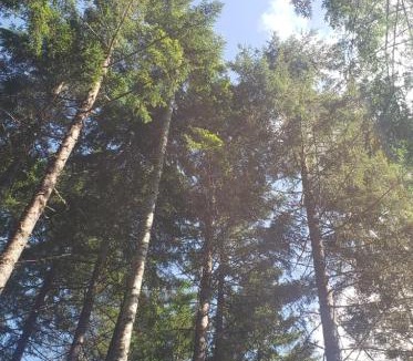Sunny Valley Other | Starry Skies Campout Bring Your Own Tent No Bed Provided