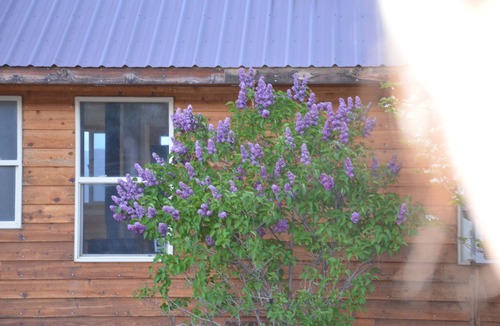 Cedarville House | steamboat stop over ranch