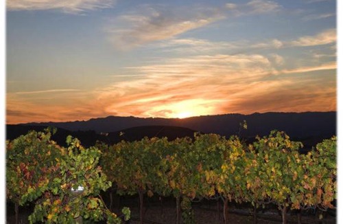 Templeton Hotel | The Eden House Vineyard