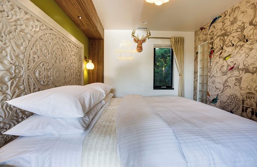 Newport Hotel | The Sun King @ The Louie Boutique Motel, Walk to Everything! Dog Friendly!