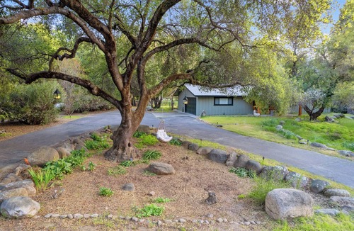 Three Rivers House | Three Oaks - Perfectly designed nature escape!