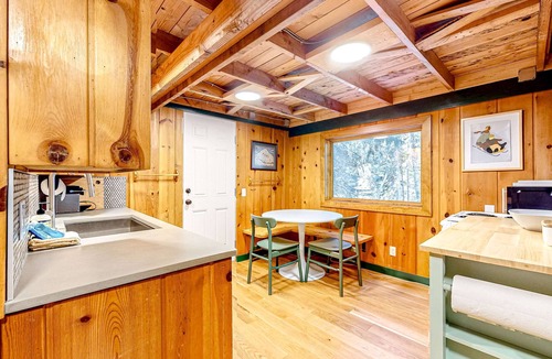 Government Camp House | Tranquil & historic cabin with fireplace & deck views - near skiing