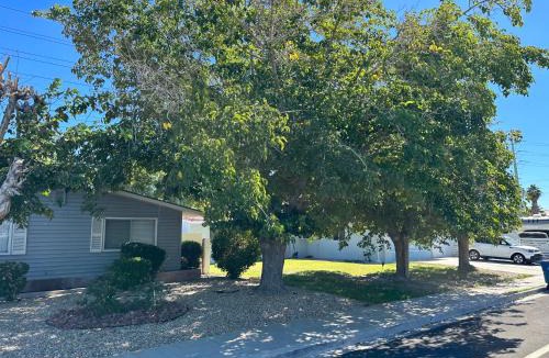 Rancho Oakey House | Vegas Getaway amazing Ground Floor with Pool and Games and BBQ