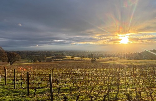 West Salem Apartment | Vineyard 1 bedroom apartment in West Salem - Gorgeous Views.