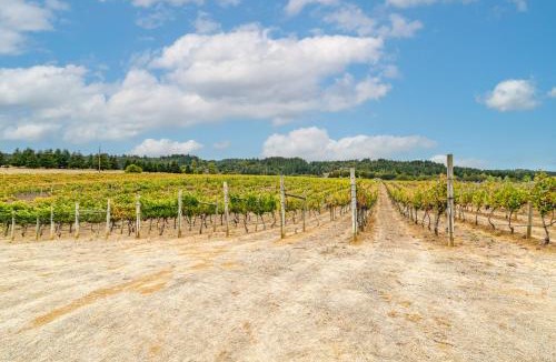Oakland House | Vineyard Farmhouse in Oakland w/Hot Tub!