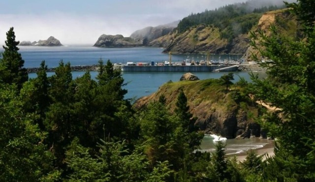 Battle Rock House-Port Orford - Spectacular Views No Wind Broadband Internet