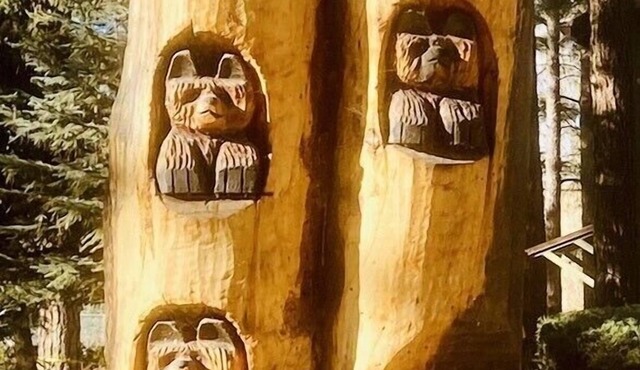 Bear Treeloft - An ADU in the cool pines & walking distance to fun!