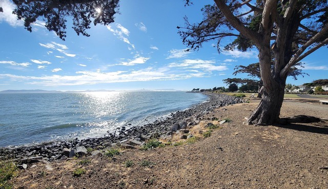 Beautiful house/Short drive to the beach/Parking/Amazing Alameda