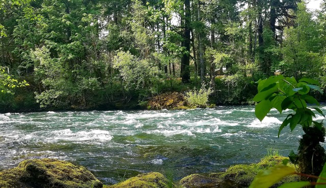 Belknap House on the McKenzie River