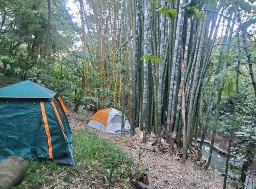 Campamento equipado de bosque in Cuetzalan del Progreso