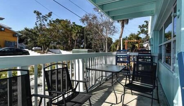 Cedar Key Turtle 132