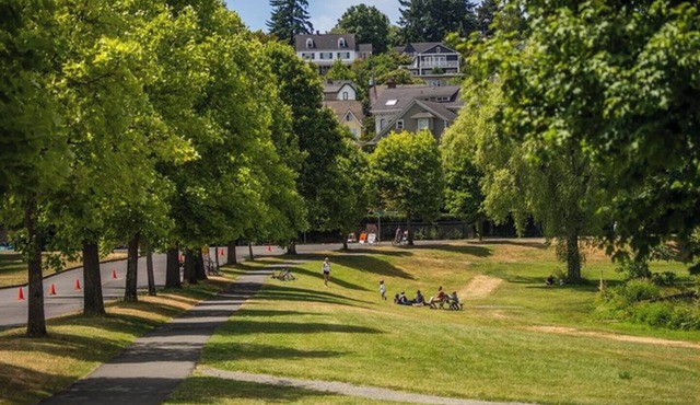 Charming 1-bedroom apartment in Mount Baker Neighborhood near Lake Washington