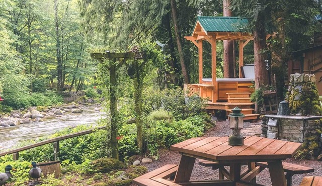 Charming Dream Catcher Cabin, riverfront, fireplace, hot tub, BBQ, dogs welcome