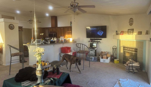 Charming oasis!This peaceful clean retreat is on your way to Death Valley.