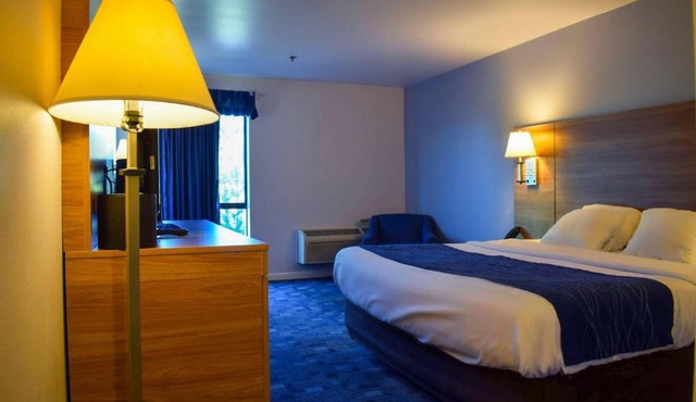 Comfort Inn Bellingham