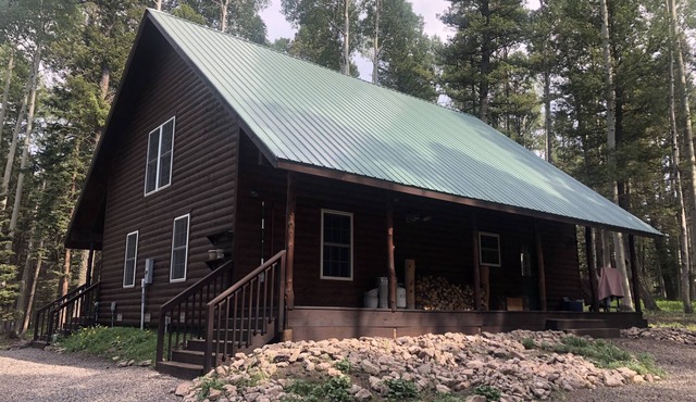 Cozy 3Bed 2Bath Cabin - Lodge/Snowmobile/UTV Rental Nearby