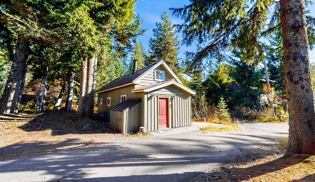 Cozy, comfortable cottage in Government Camp