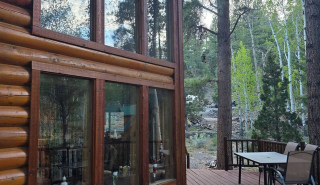 Cozy Panguitch Lake Cabin Nestled in the Pines