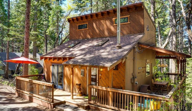 Dog-Friendly Cabin 3 Mi to Big Trees State Park!