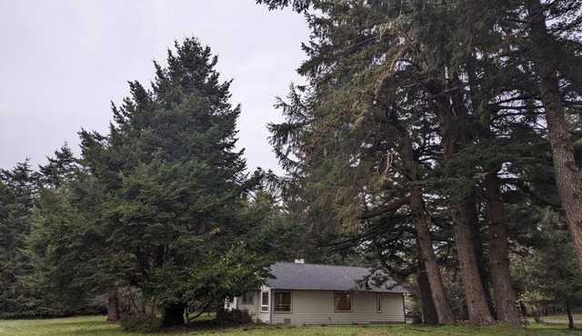 Escape to Serenity on a 40-acre Ranch near Floras Lake