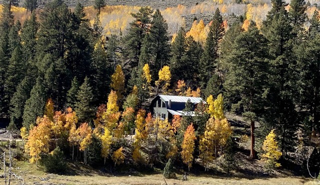 Escape to serenity! Quiet, breathtaking views, and access to public land.