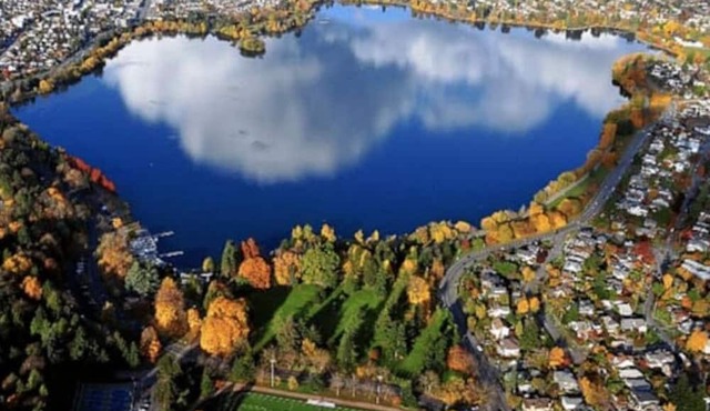 Family 3BR Walk to Greenlake Games Patio BBQ DogOK