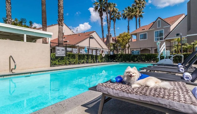 Home Away from Home! TWO 2BR Suites w/ Kitchens! Pool, Jacuzzi, Private Parking!