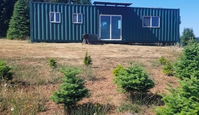 Hot tub! sought out Christmas tree heaven experience. unique container.